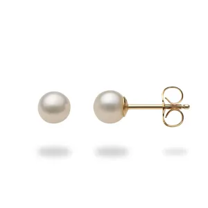 Freshwater White Pearl Earrings in Gold - 5-6mm