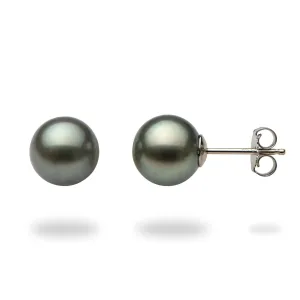 Tahitian Black Pearl Earrings in White Gold - 8-9mm